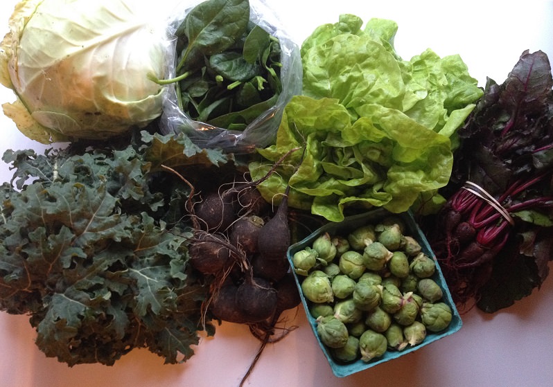Our CSA Share: kale, cabbage, spinach, lettuce, beets, Brussels sprouts, black radishes| Grabbing the Gusto